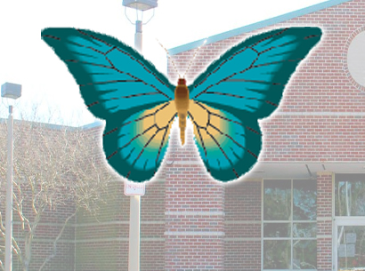  net academy